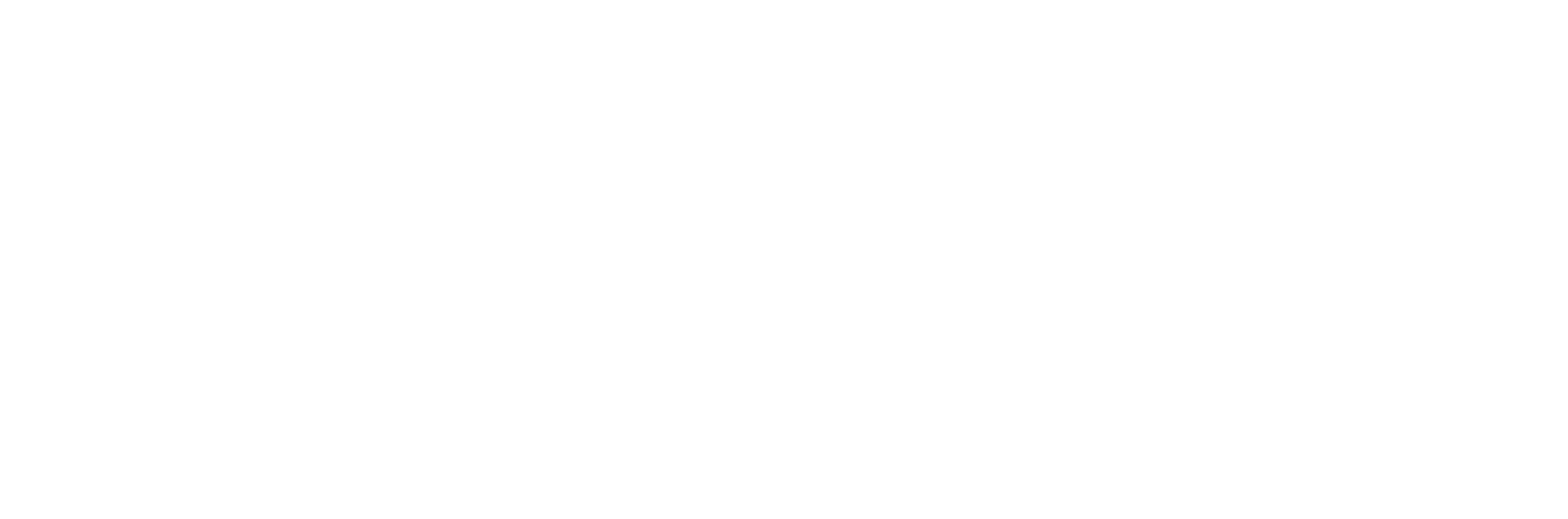 Suzuki Logo