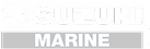 Suzuki Logo